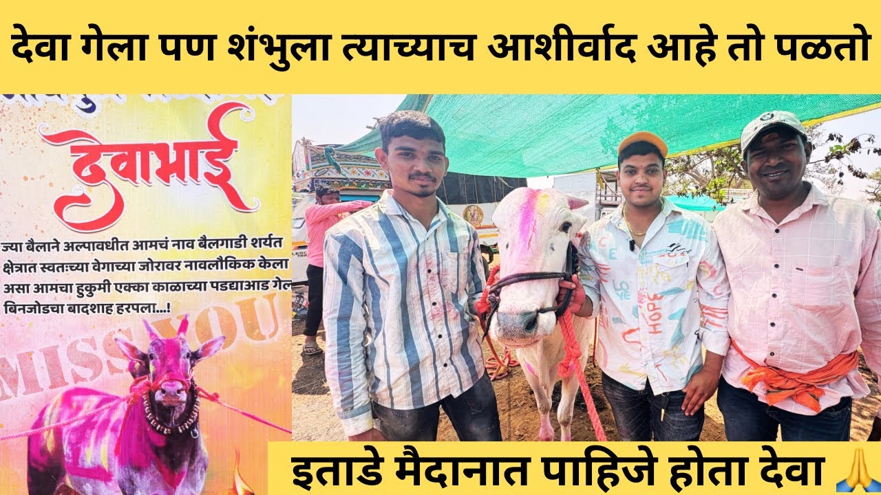 रणजीत म्हात्रे सोनारापाडा आज जो विच्यारीला येईल त्याच्याशी गाडी खेळू , देवाचा आशीर्वाद आहे शुंभूला🙏💯