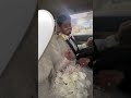من يزوجون بعد حب سنوات  عروس  حفلات  عراقي  اكسبلور فولو  اكسبلور        تيك توك سمعها