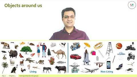 Sorting materials into groups - NCERT Science Grade 6 Chapter 4_Part I