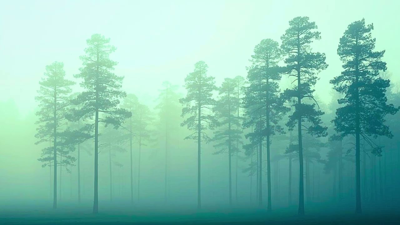 Deep Sleep Music 432Hz 🌿 Handpan & Harp Zen Forest Ambient | No Percussion (4 hours)