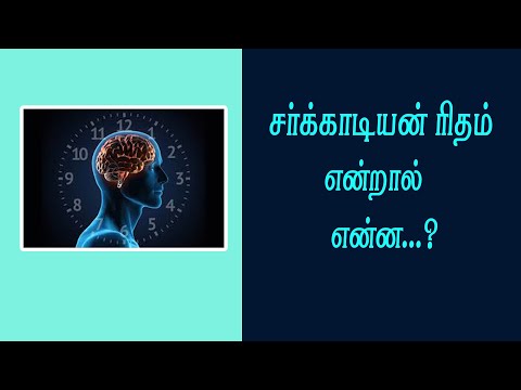 சர்கார்டியன் ரிதம் என்றால் என்ன...? What is circadian rhythm?