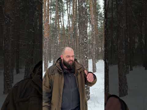 Видео: Как избежать дикого и голодного зверя в зимнем лесу