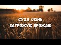 Суха осінь загрожує врожаю озимих культур в Одеській області