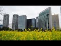 雨上がりの街 (白鳥英美子) 白鳥英美子 東京 浜離宮恩賜庭園