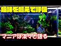 『マニア宅訪問』アクア歴50年の水槽部屋　アロワナ　ダトニオ　ポリプテルス　コリドラス　ディスカス　レッドベリーオスカー　テトラなど　あらゆる魚種を飼育