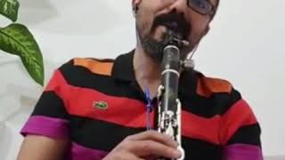 Akşam Oldu Hüzünlendi̇m Ben Yi̇ne - Semahat Özdenses