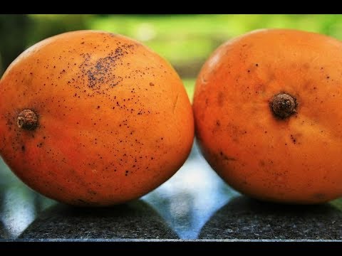 Pakistani Honey Mangoes | Top Food to Buy in London UK - YouTube