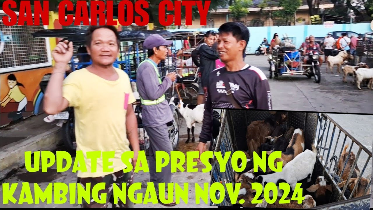 November 16, 2024 Update sa presyo ng Kambing sa San Carlos City Livestock Market#livestockmarket