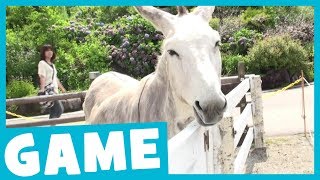 Learn Farm Animals | What's That Sound? Game for Kids | Maple Leaf Learning screenshot 3