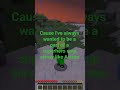 Some random ahh information #minecraft