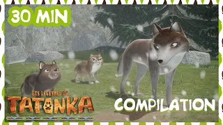 Tatonka en Français 🐺 Tempête d'été 🌪️☀️ Dessin animé