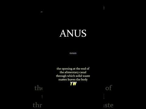 Anus Urdu Word Meaning In English