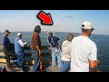 He Caught A Monster From The Pier!!