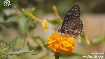 ما تيسر من القرآن الكريم  الشيخ وائل السعيد ❤️