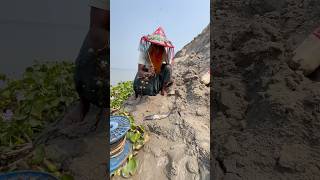 Hunting big river sharks with tasty catfish bait #riverfishing #shortvideo