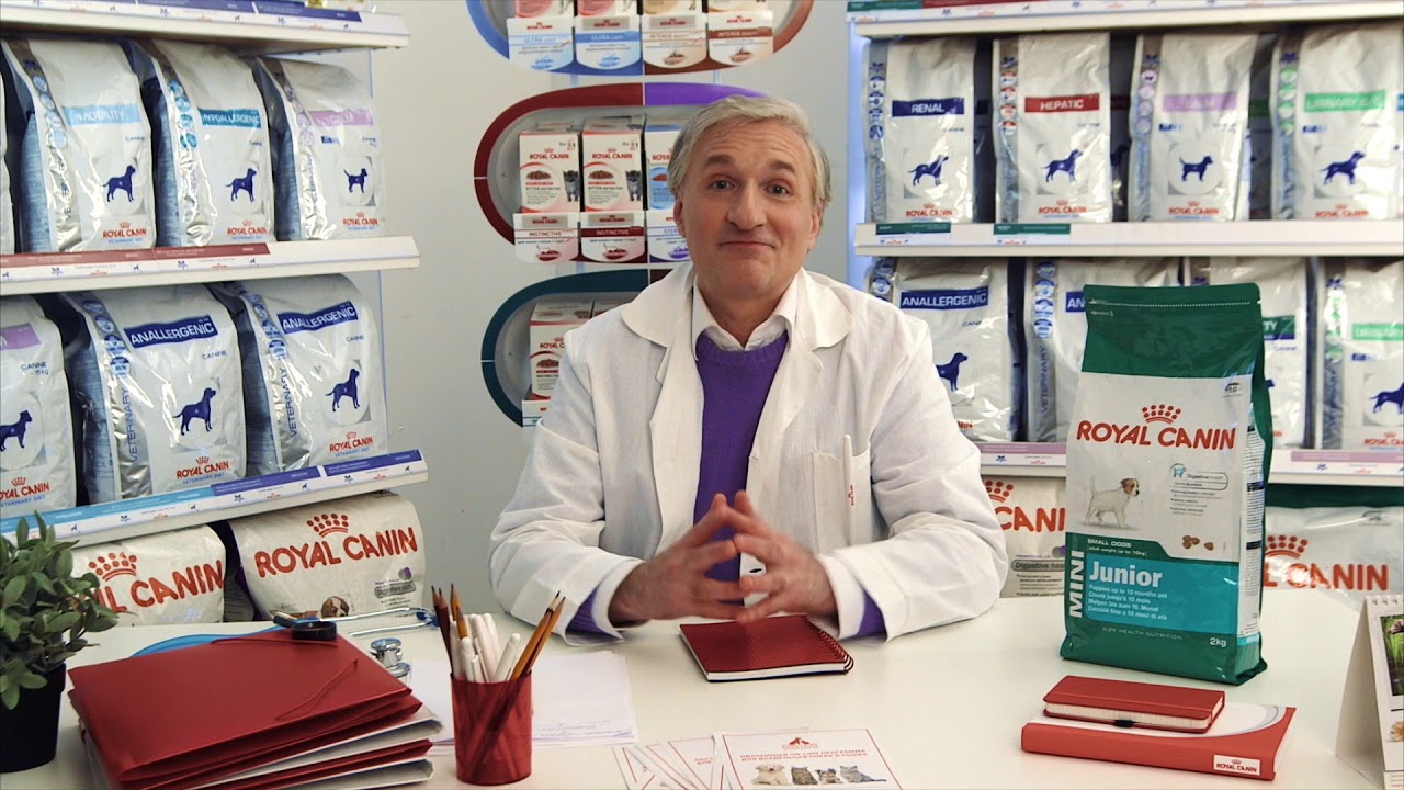 Royal Canin Light для собак мелких пород.