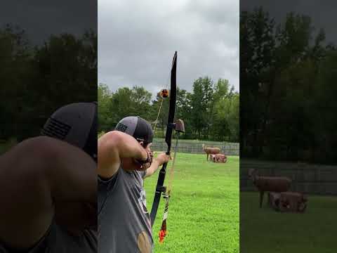 Stealth Hunter Recurve