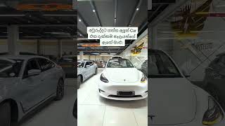 Tesla Model Y Dancing in Sri Lanka! 😂 Avurudu Special|Wishing you a Happy Sinhala Tamil New year