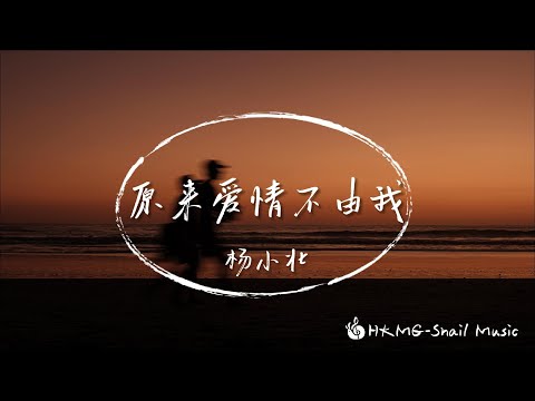 《原來愛情不由我》-楊小壯「原來感情到最後 只徒留淚滴」【Lyrics Video】♪【HKMG】