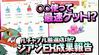 プチ裏技を使ってカヌチャンを最速ゲットしちゃおう＋シアンEX初週成果報告【ポケモンスリー