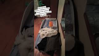 убитая квартира #ремонт #однушка #наследство расхламление