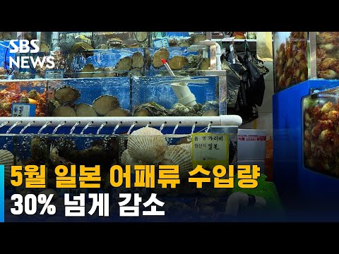 5월 일본 어패류 수입량 30% 넘게 감소…두 달 연속↓ / SBS