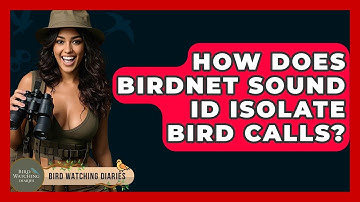 How Does BirdNET Sound ID Isolate Bird Calls? - Bird Watching Diaries