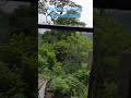 #trendingfollow #indianews #trending nature view of Dharmashala by train view