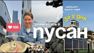 картинка: 2 дня в Пусане ШОК: храм на скале, самый вкусный суп в Корее, хайкинг вдоль побережья | Влог