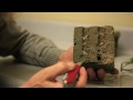 Grow Cannabis - Dying Plant Up Close & Personal - By Jorge Cervantes
