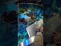 #aquariumgoals #newenglandaquarium #topdown