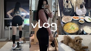 Vlog 8년차필라테스강사 그래놀라만들기 호석촌 일상브이로그 룰루레몬 스탭퍼 김밥만들기 레목녹차