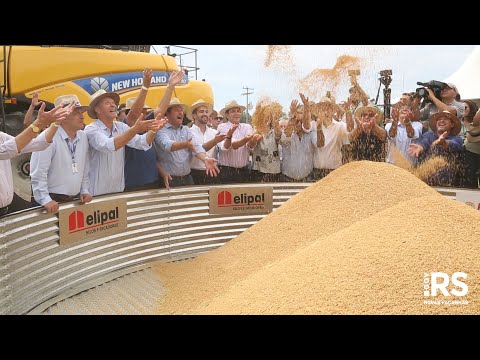 Leite anuncia terminal logístico para o setor orizícola na 30ª Abertura Oficial da Colheita do Arroz