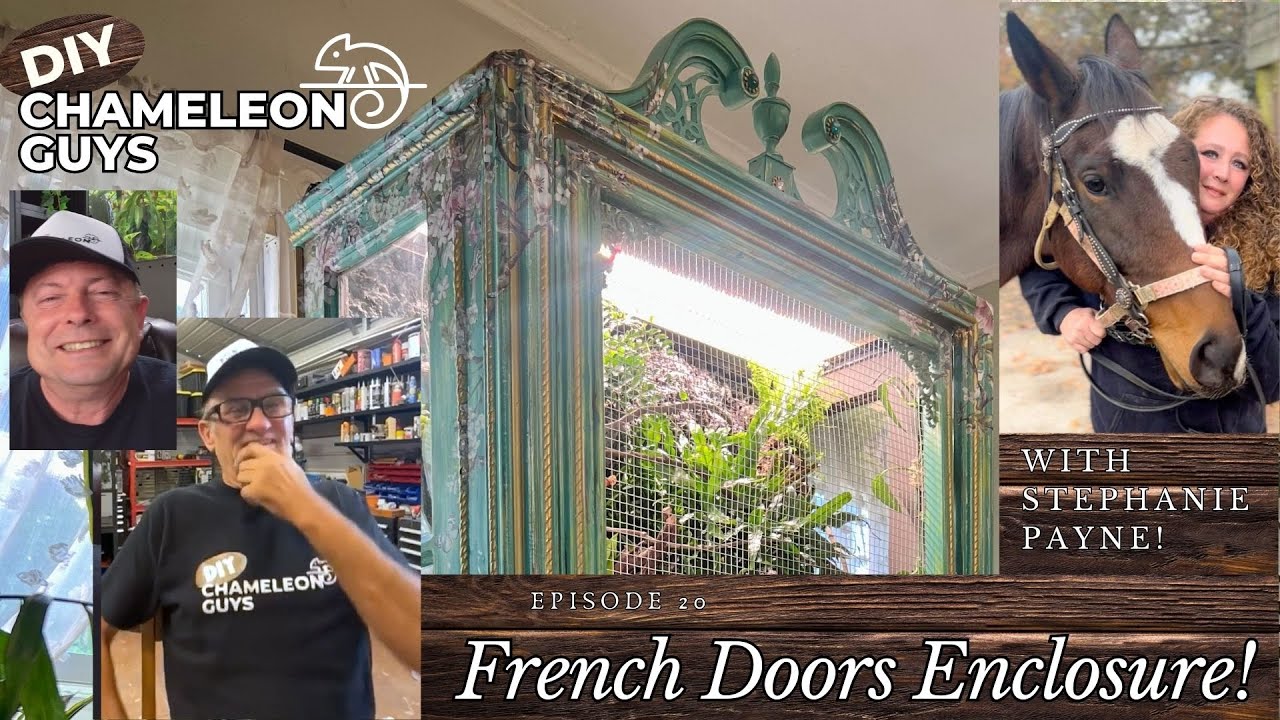 Turning French Doors into a Chameleon Enclosure!