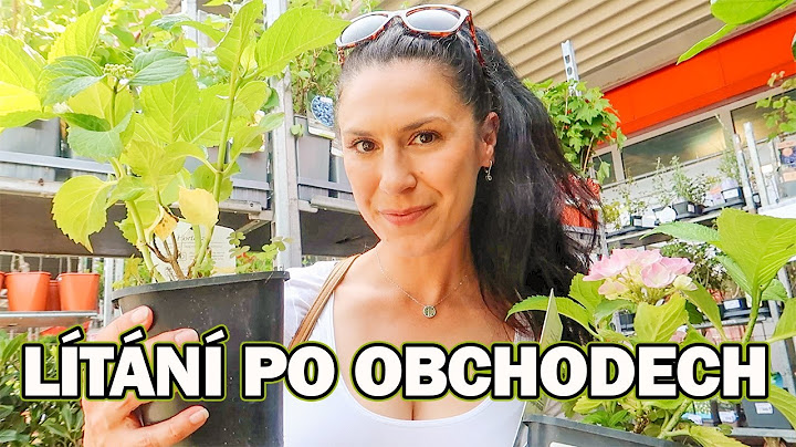 LÍTÁNÍ Z OBCHODU DO OBCHODU A PROČ K NÁM NIKDO NEPŘIŠEL DĚLAT KOBERCE?