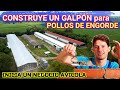 ▶ ¿CÓMO CONSTRUIR UN GALPÓN para 🐔 POLLOS DE ENGORDE | Inicia una Empresa Avicola💲