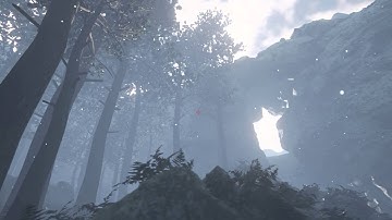 Snow scene, Using Unreal 4 engine