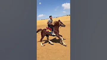 خارق كالعاده احب الرياضة الهرم حصان خيل عصام صاصا 