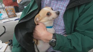 Portland nonprofit helps care for veterans' dogs