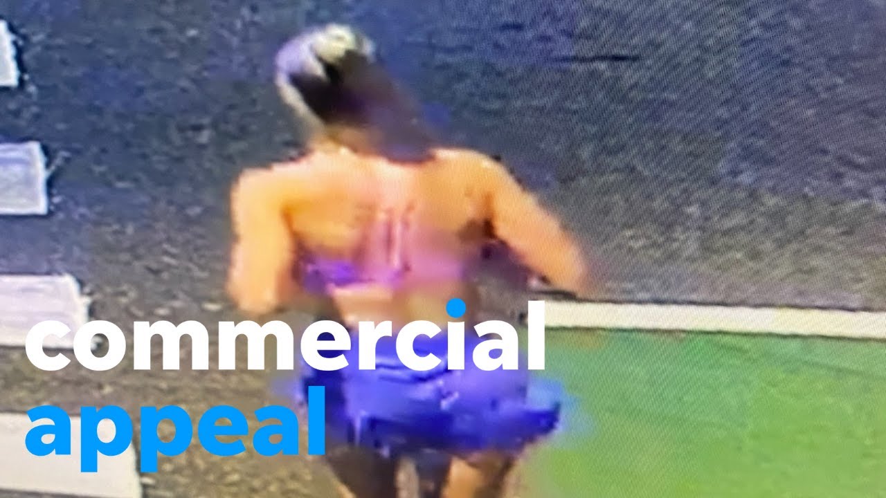 Eliza Fletcher case Memphis police confirm remains found belong to