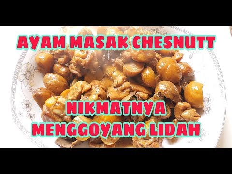 chinese-food-recipes-ayam-masak-chesnutt