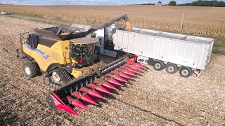 MOISSON DE MAÏS 2020 - Les premières images [Drone ONLY]