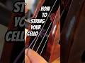 How to Re-String Your Cello | StringWorks University #cello #tutorial #luthier