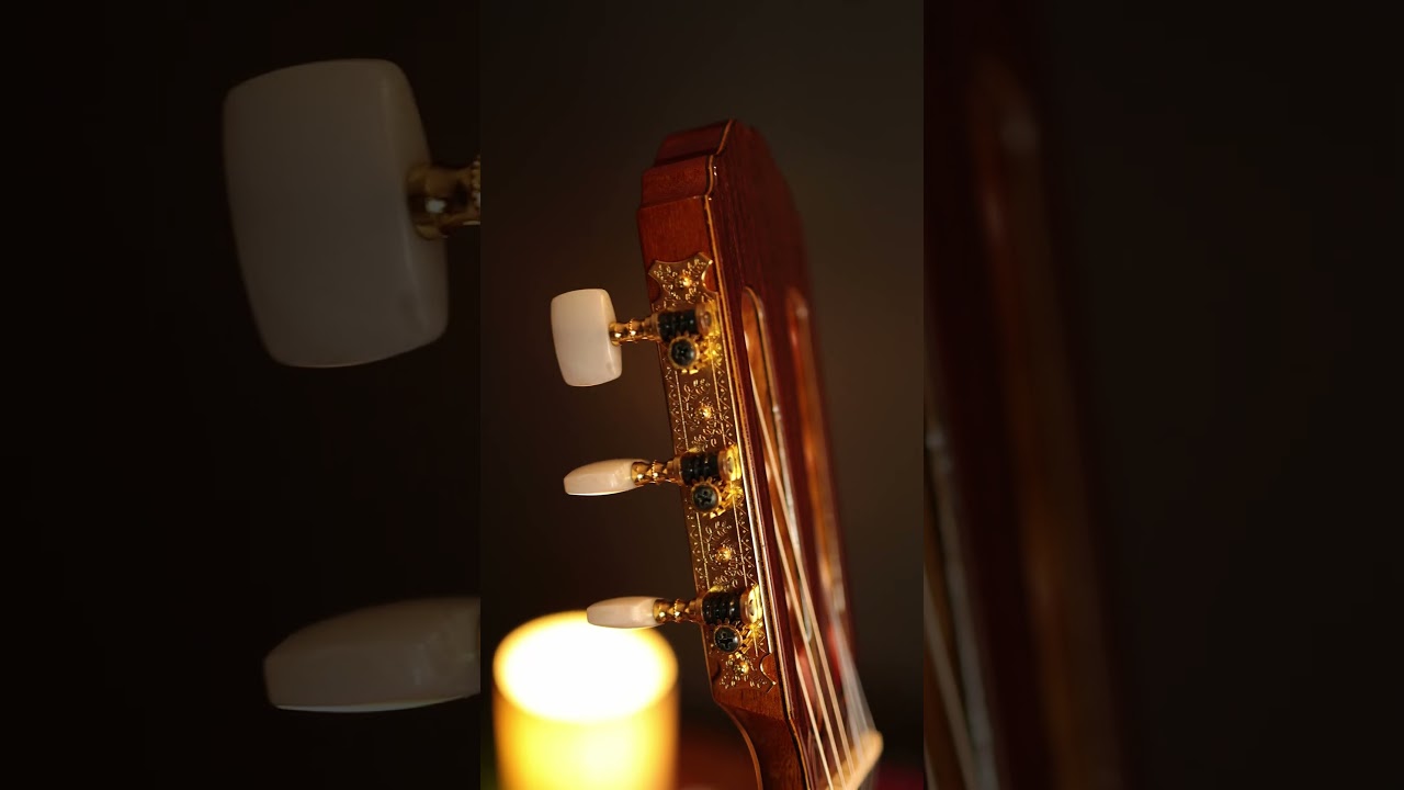 🎸 Takamine TH5CE Hirade -Uma Obra-Prima 🔥 