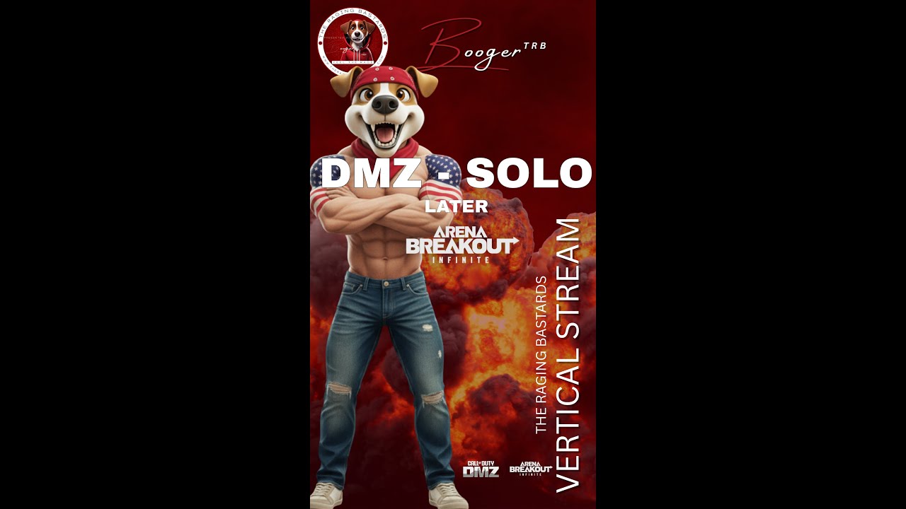 DMZ - Arena Breakout Infinite Solo
