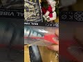 LMAB-Adventskalender ,letzte Fenster aufgemacht, tolle Fisch