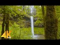 4K Scenic Nature Film - The Beauty of Silver Falls State Park - Nature Treasure of Oregon State