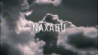 Kar Naxadu Remix