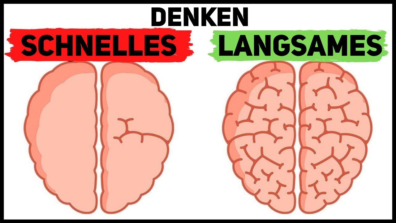Schnelles Denken Langsames Denken | Daniel Kahneman