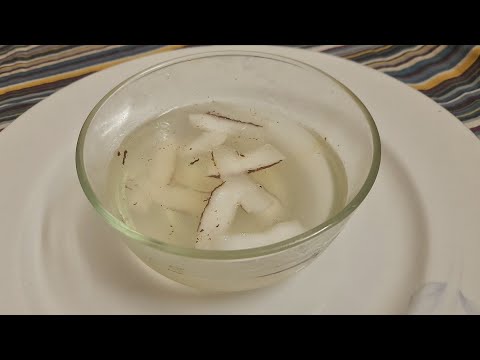 গরমে প্রাণ জুড়িয়ে যাবার মতো ডাবের পুডিং | Coconut Pudding